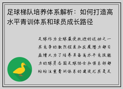 足球梯队培养体系解析：如何打造高水平青训体系和球员成长路径