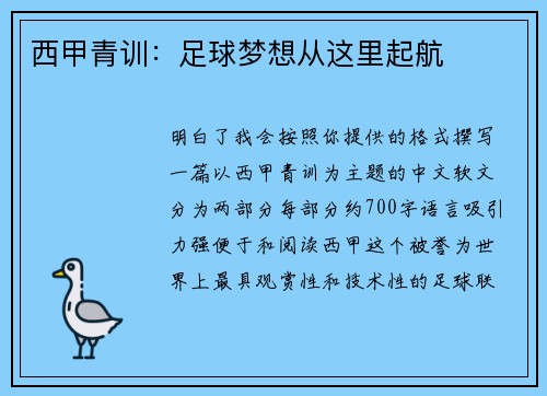 西甲青训：足球梦想从这里起航